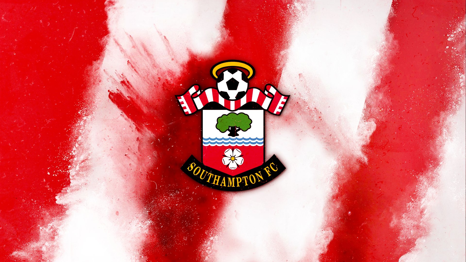 Logo đại diện của câu lạc bộ Southampton