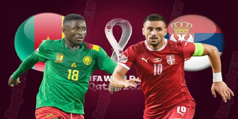 Soi kèo trận đấu giữa Cameroon vs Serbia
