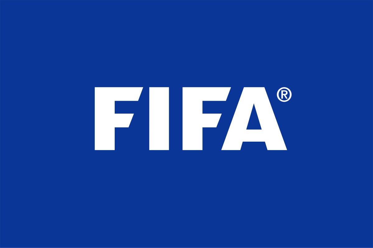 Hình ảnh kí hiệu của FIFA 