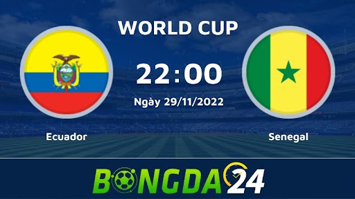 Nhận định trận đấu giữa Ecuador vs Senegal World Cup 2022