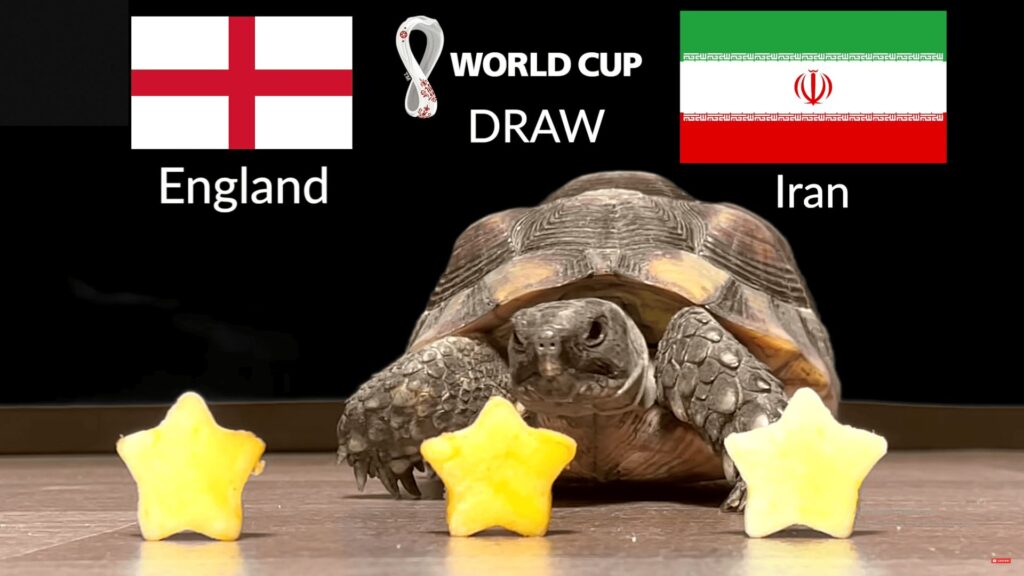 Thần Rùa dự đoán chiến thắng Tam Sư ở World Cup 2022