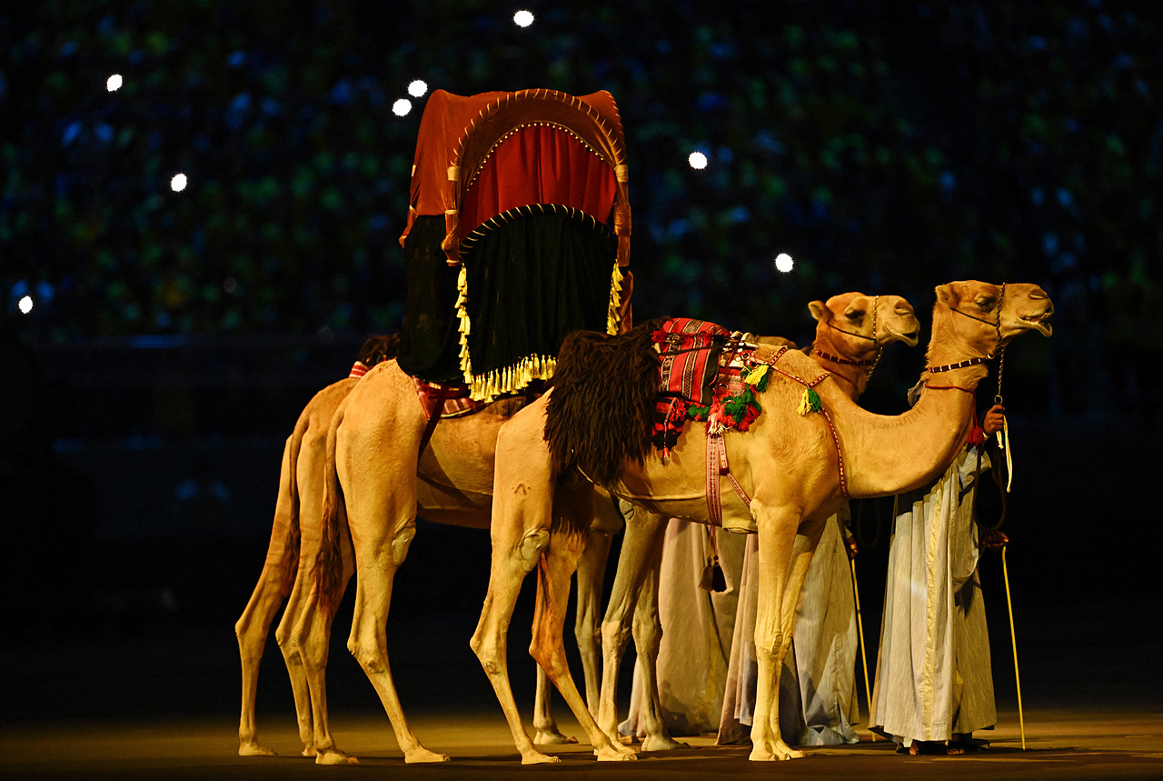Hình ảnh những chú lạc đà Qatar trong đêm khai mạc World Cup 2022