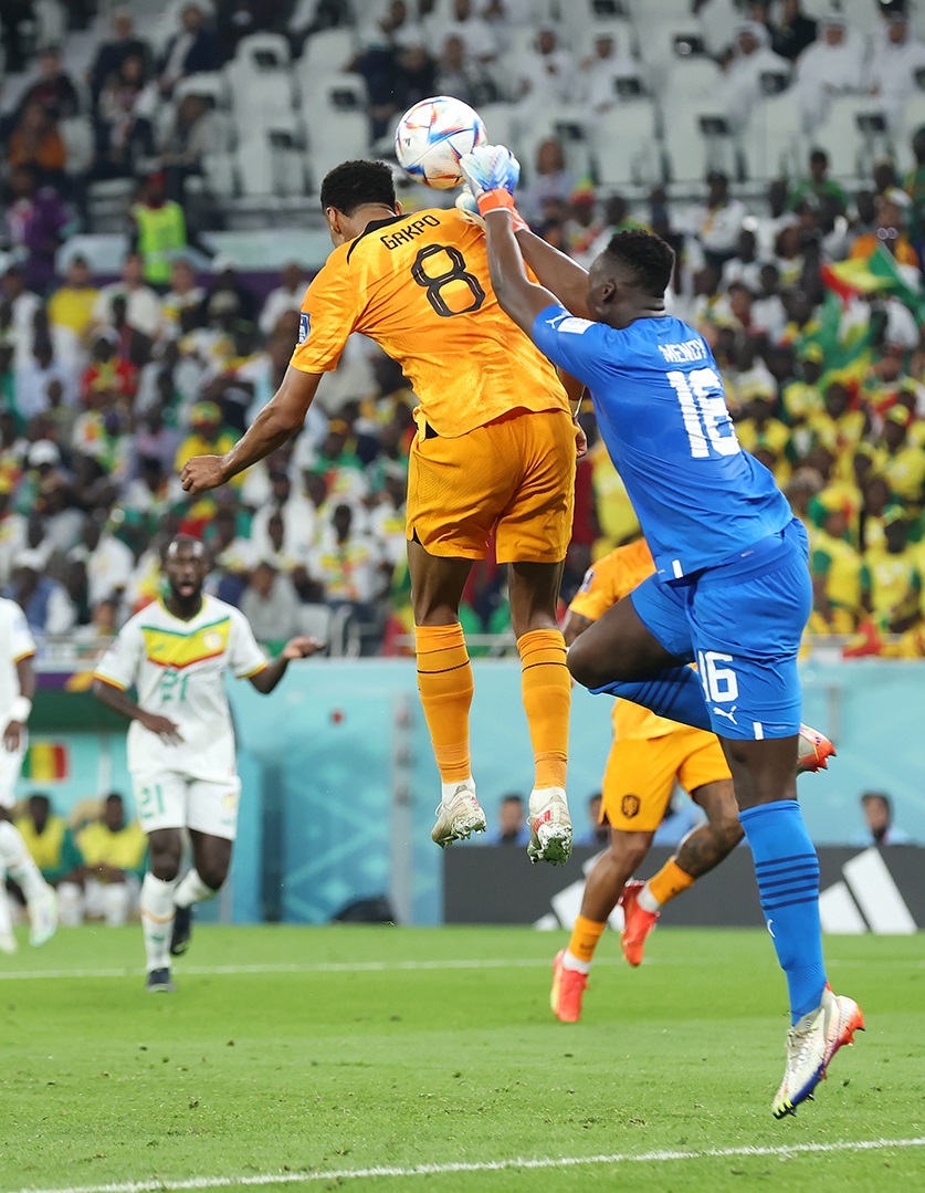 Cầu thủ chủ công của Hà Lan cùng đội tuyển thắng đậm trước Senegal