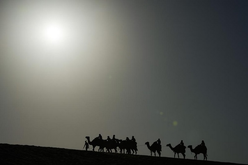 Du khách tại Qatar cưỡi lạc đà ngắm cảnh từ sáng sớm