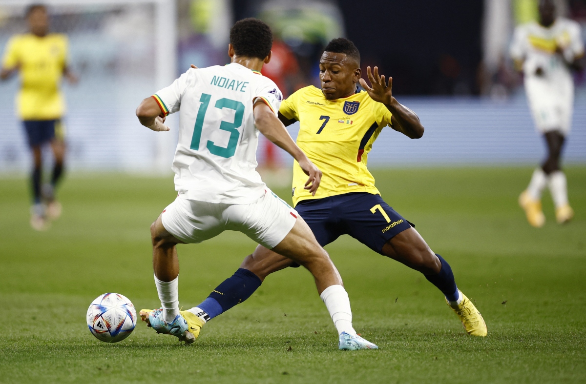 Ecuador được đánh giá trên kèo Senegal World Cup 2022