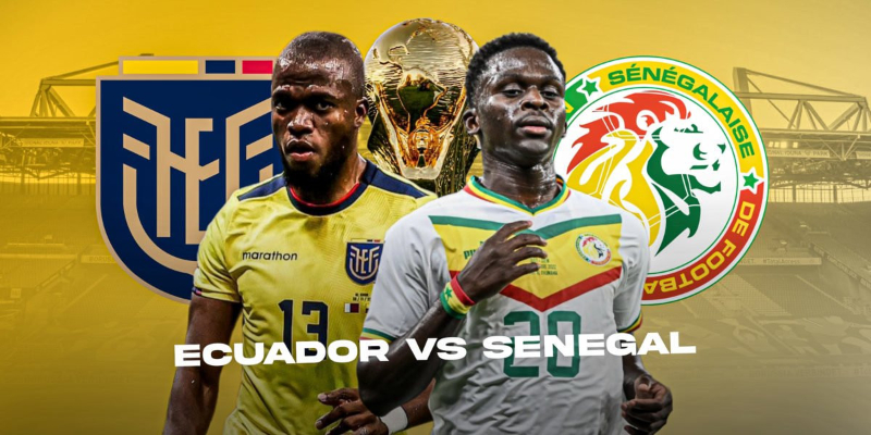 Nhận định trước trận đấu Senegal vs Ecuador