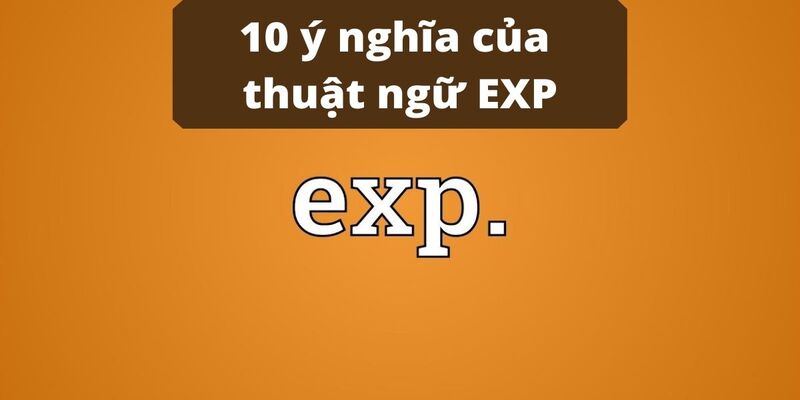 Exp là gì thuật ngữ trong exp