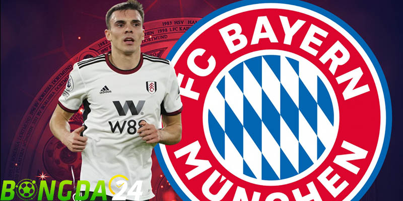 Bayern Munich đề nghị mua Palhinha